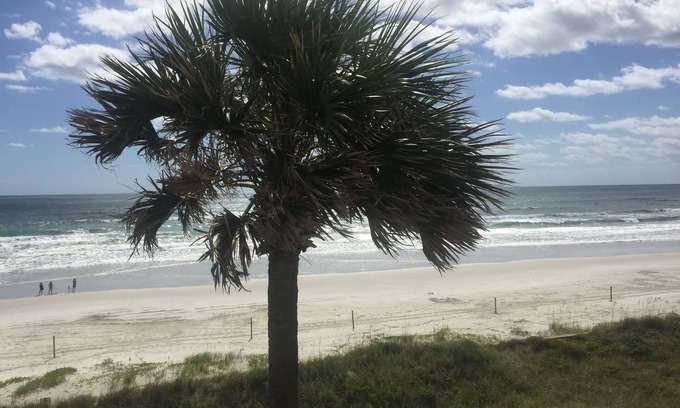 Daytona Beach Shores Condo | Beachfront. Sept. Just opened due to cancellation.nn