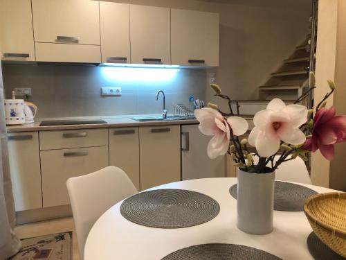 Balatonfuzfo Apartment | Beachfront Studio Apartman
