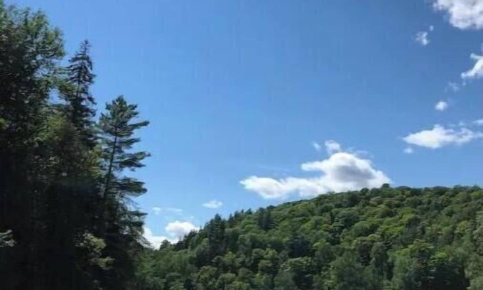 Hastings Highlands Cottage | Beautiful Algonquin Lakefront Cottage Experience