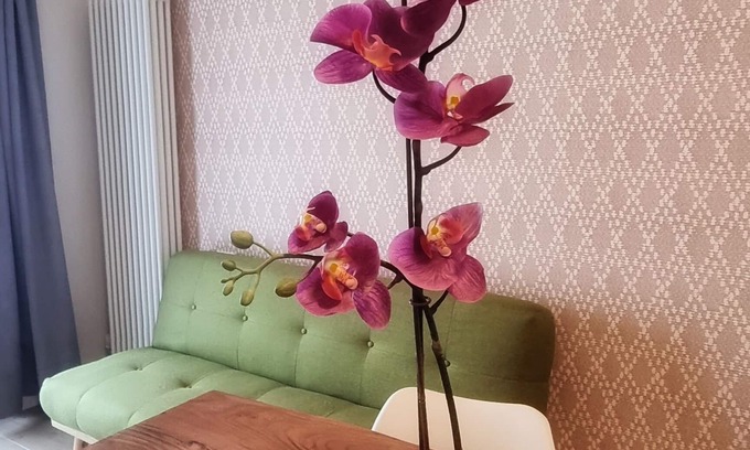 Torbole sul Garda Apartment | Beautiful apartment close to the beach and in the city center