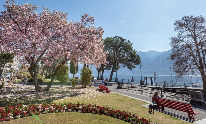 Ascona Apartment | Beautiful apartment for 4 people with WIFI, TV, balcony, pets allowed and parking