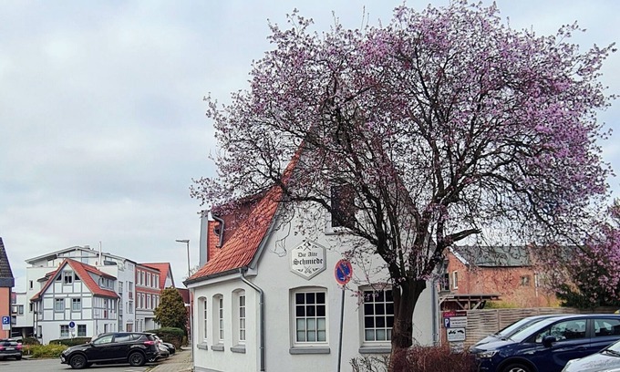 Winsen Apartment | Beautiful central vacation apartment in the Alte Schmiede Winsen (Luhe)
