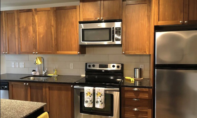 Regional District of Nanaimo Condo | Beautiful Condo in Downtown Nanaimo with indoor parking, steps from the water