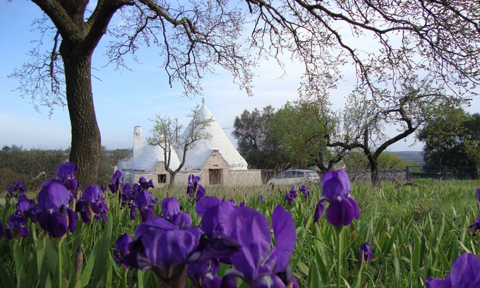 Ostuni Villa | Beautiful hilltop Trulli w/POOL & A/C in almond & olive grove - TrulliVistas