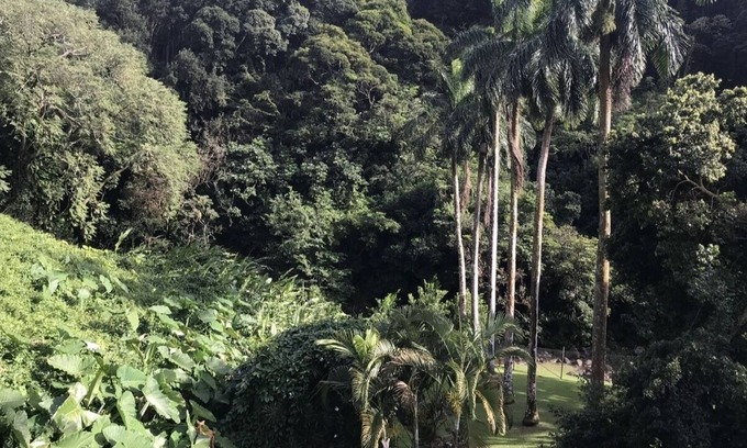 Nuuanu - Punchbowl House | Beautiful home in the rainforest near Honolulu