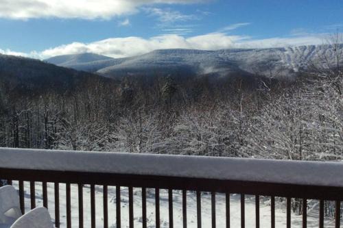 Pine Hill House | Beautiful Log Ski Cabin Belleayre Mtn Views