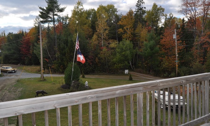 Glenburn Apartment | Beautiful Modern In the middle of a forest close to lake, with lake access