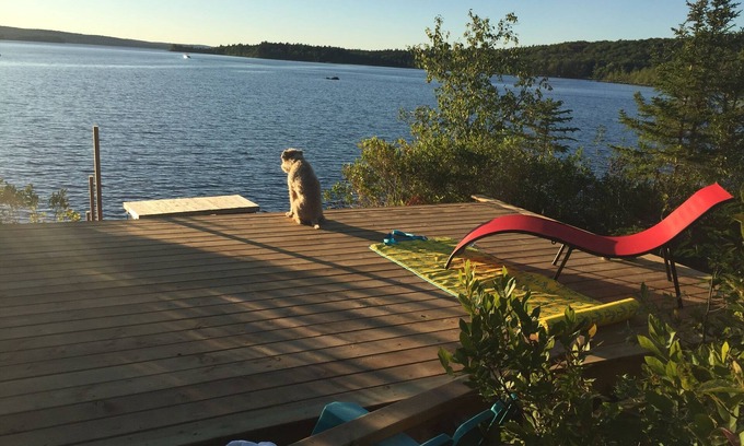 Lunenburg County Cottage | Beautiful private waterfront cottage on Sherbrooke Lake, Nova Scotia