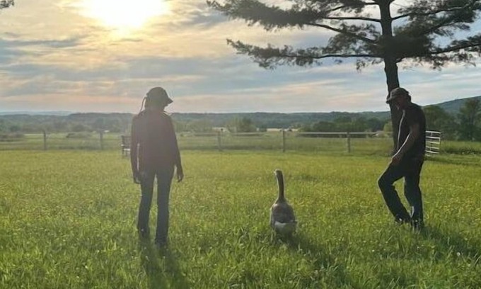 Dickerson Apartment | Beautiful & Secluded Countryside Retreat