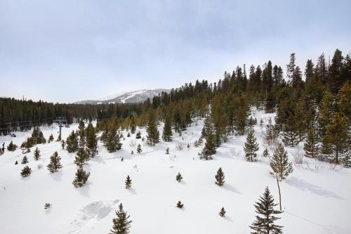 Peak 9 Apartment | Beaver Run Resort 4516 by Great Western Lodging