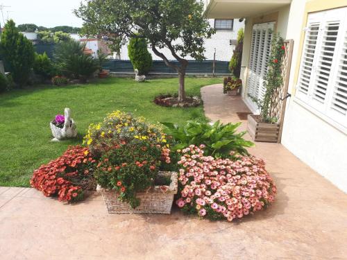 Civitavecchia Bed & Breakfast | Bed and Breakfast Angolo Fiorito