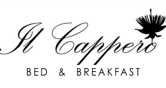 Serre di Rapolano Bed & Breakfast | Bed and Breakfast Il Cappero