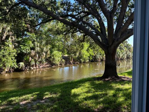 Palm River Estates Bed & Breakfast | Bed and Breakfast in North Naples