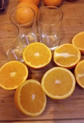 Municipality of Assen Bed & Breakfast | Bed & Breakfast 28 Appartement met Privé Tuin