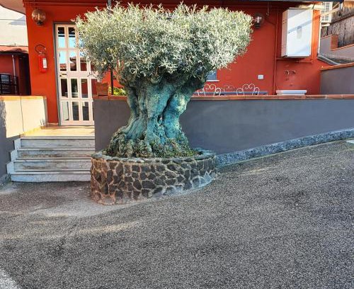 Ercolano Bed & Breakfast | Bed & Breakfast Neapolis