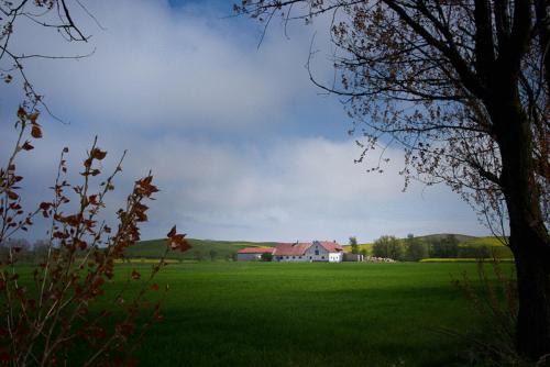 Kaseberga Bed & Breakfast | Bed & Breakfast Vinkille