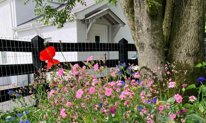 Lisnagunogue House | Beech Tree Cottage