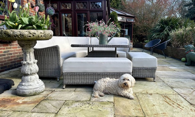 Halland Bed & Breakfast | Beechwood B&B