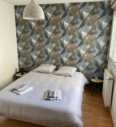 Vesoul Apartment | Bel appartement proche gare - WiFi - parking