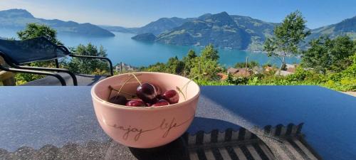 Emmetten Apartment | BellaRosa