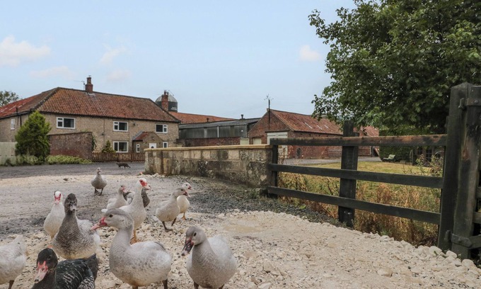 Malton Cottage | BELLMANEAR FARM COTTAGE, family friendly, with a garden in Malton