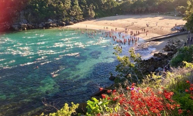 Manly Apartment | Best Location One Bedroom Apartment in Little Manly