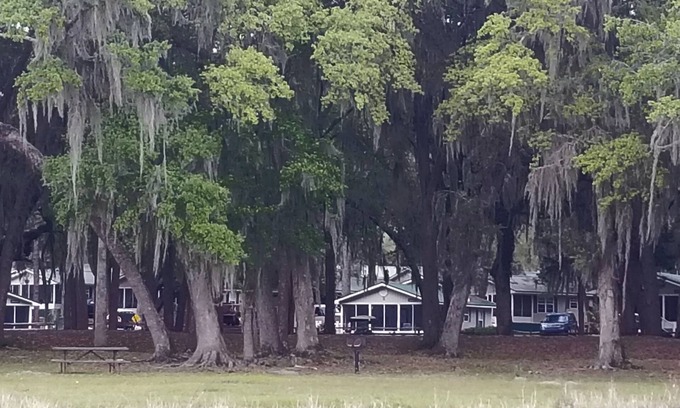 Salt Springs Cabin | Best view cottage at Salt Springs Resort