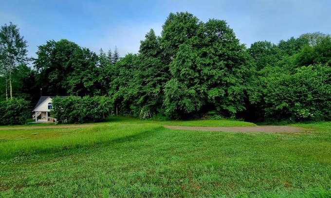 gmina Szczebrzeszyn House | Biała chatka w lesie na Roztoczu