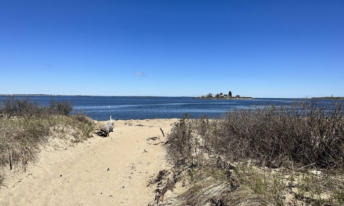 Biddeford Pool Condo | Biddeford Pool Condo/Beach Shack steps from beach, 1 BR/1 Bath