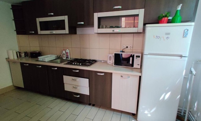 Satu Mare Apartment | Big Family Apartment is a central apartment in Satu Mare Apartments building.
