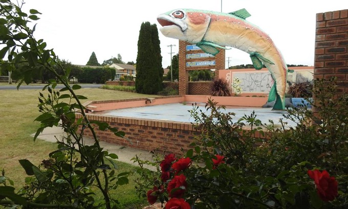 Oberon Hotel | Big Trout Motel