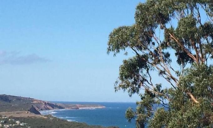 Anglesea House | Big views over Anglesea from the balcony - pet friendly