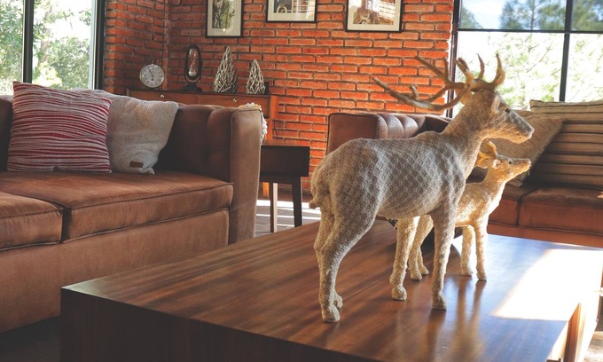Huasca De Ocampo Cottage | BIMBA country house, heart of the forest, Huasca