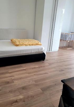 Mainz-Bingen Apartment | Bingen Hasengasse