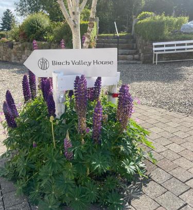 Tinahely Apartment | Birch Valley Accommodation Tinahely Wicklow Ireland