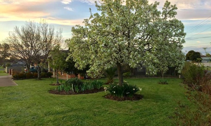 Maryborough Apartment | Bird Abode