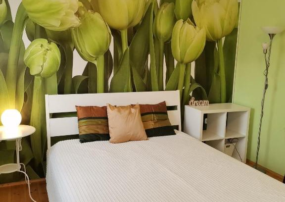 Rakoskeresztur Apartment | Bird Hill Apartment Budapest