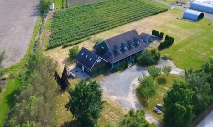 Metro Vancouver Regional District House | Bird Watchers Loft Stay