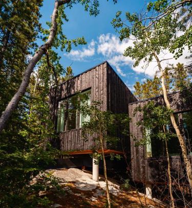 Whitehorse House | Black Spruce - Yellow Door
