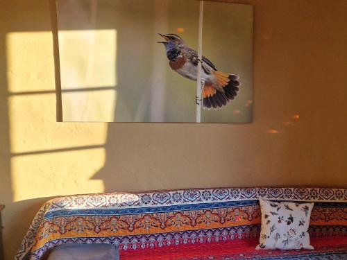 Gross Nemerow Apartment | BlaukehlchenBleibe