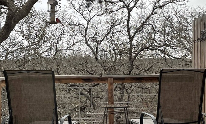 Bandera House | Blessed Bull @ the Creek