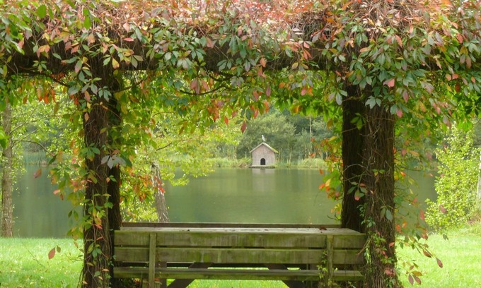 Ludwigswinkel Hotel | Blick zum Maimont