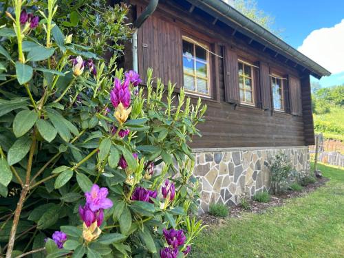 Kempenich House | Blockhütte Engeln-Eifel