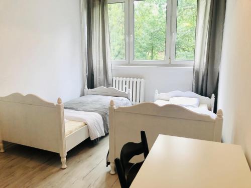 Srodmiescie Apartment | Blue River - Bacciarellego