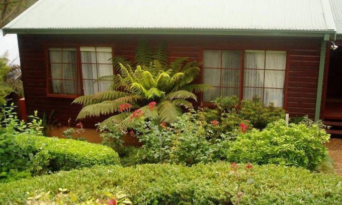 Leura House | Bluebell Cottage set amongst the trees which attract many native birds.