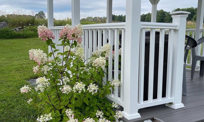 Washington Bed & Breakfast | Blueberry Fields B&B