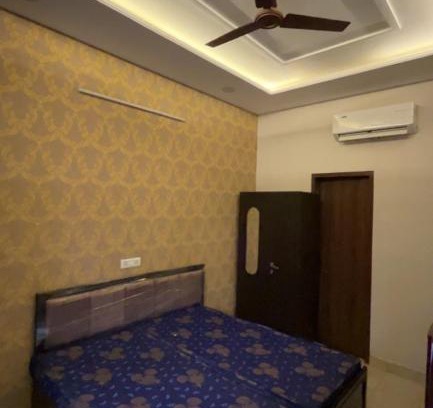 Phagwara House | BLUEBERRY PG