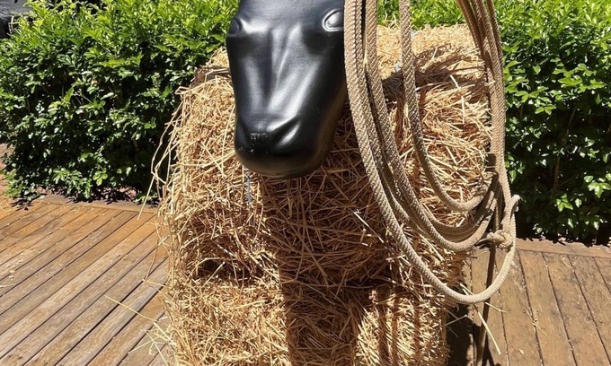 East Tamworth House | Bluebird Cottage - Charm & character