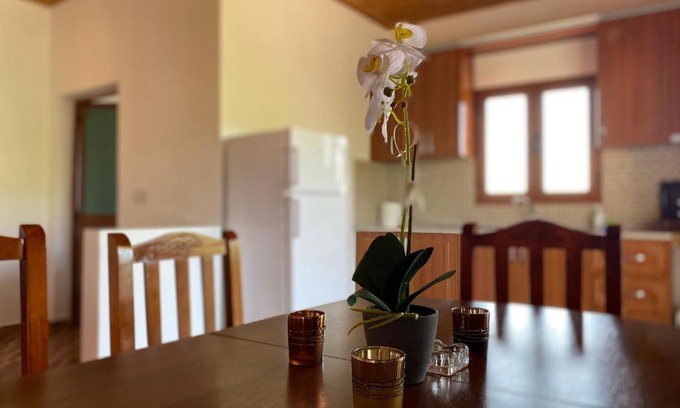 Lezhe Apartment | Boem Villa's