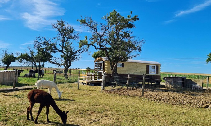 Burthecourt-aux-Chenes Cottage | Bohemian Caravan Comfort South of Nancy